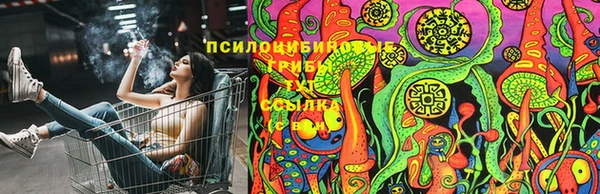 2c-b Алзамай