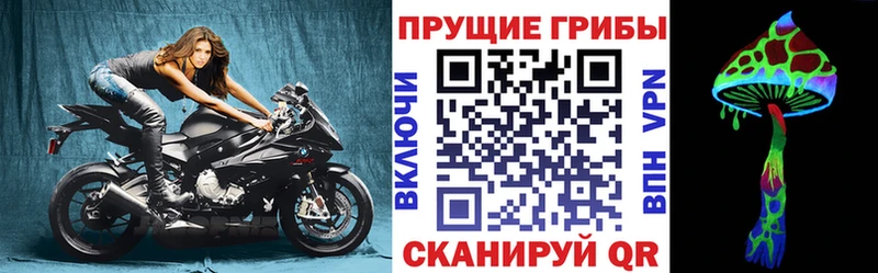 Галлюциногенные грибы мухоморы  дарнет шоп  Электрогорск 