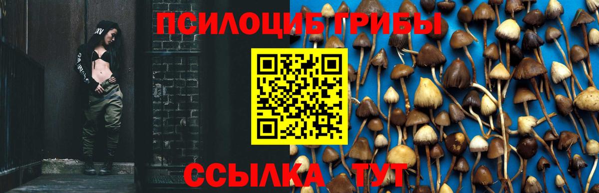 Галлюциногенные грибы мицелий  как найти закладки  Электрогорск  Вход с VPN  Галлюциногенные грибы Magic Shrooms 