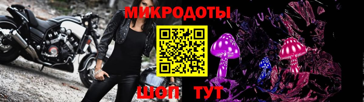 Псилоцибиновые грибы Cubensis Электрогорск